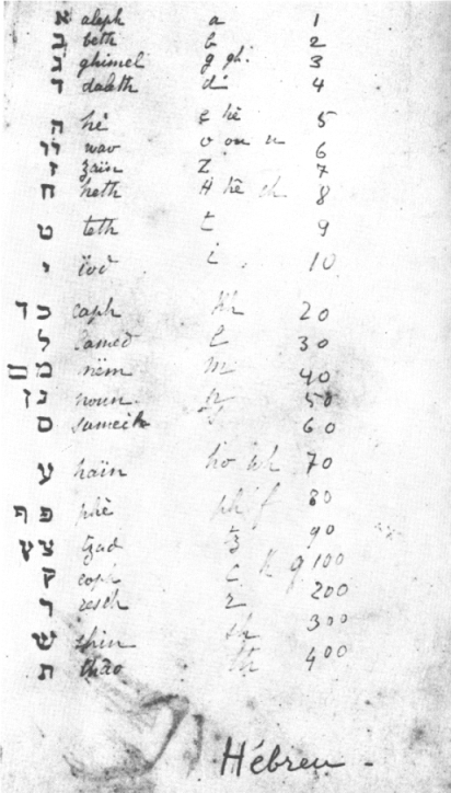 Image 8